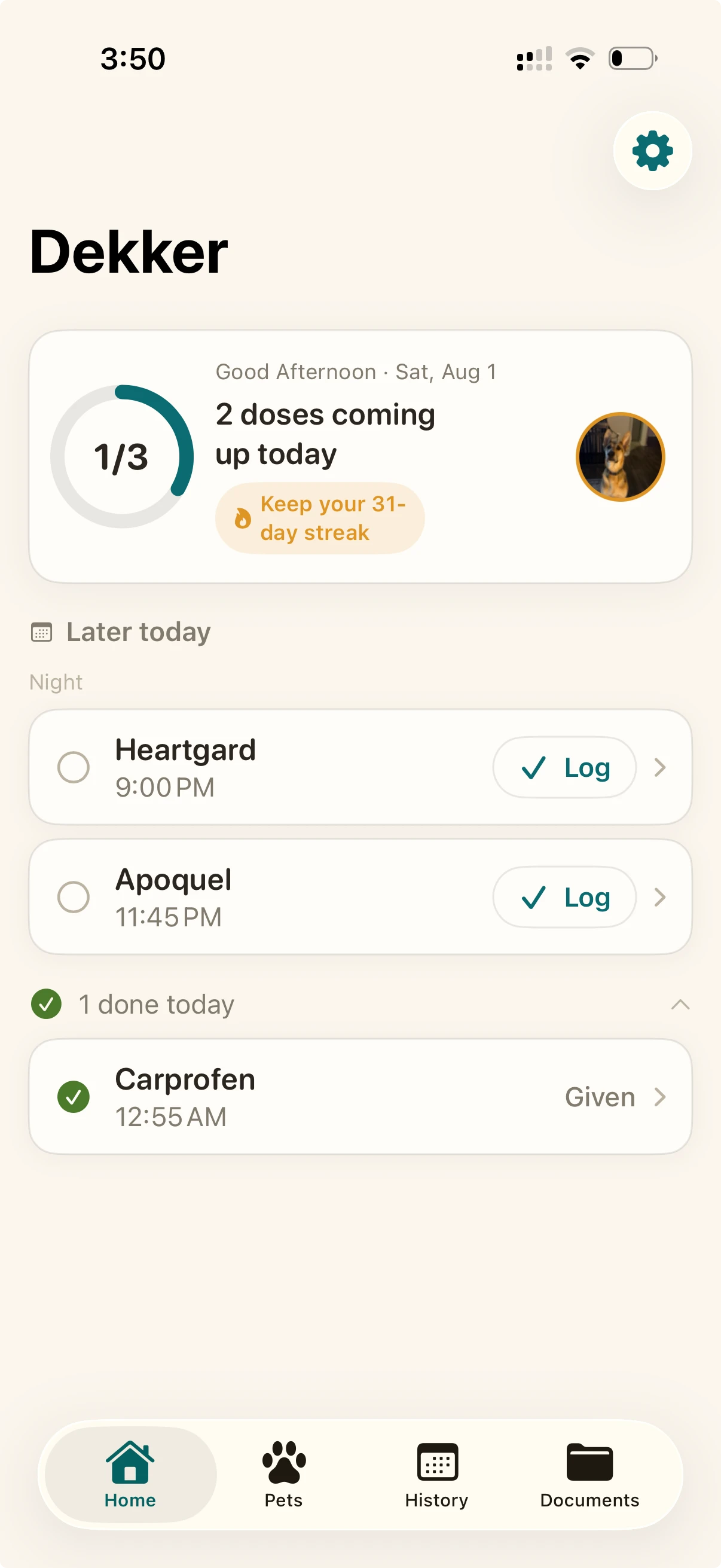 TailDose on iPhone: today's doses for a dog, one logged and one still due